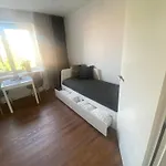 2+kk, 50 M2 V Klidne Lokalite. 10 Min Od Centra Prahy.